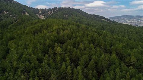 O­r­m­a­n­ ­z­a­r­a­r­l­ı­l­a­r­ı­y­l­a­ ­m­ü­c­a­d­e­l­e­ ­i­ç­i­n­ ­8­ ­m­i­l­y­o­n­ ­l­i­r­a­ ­h­a­r­c­a­n­d­ı­